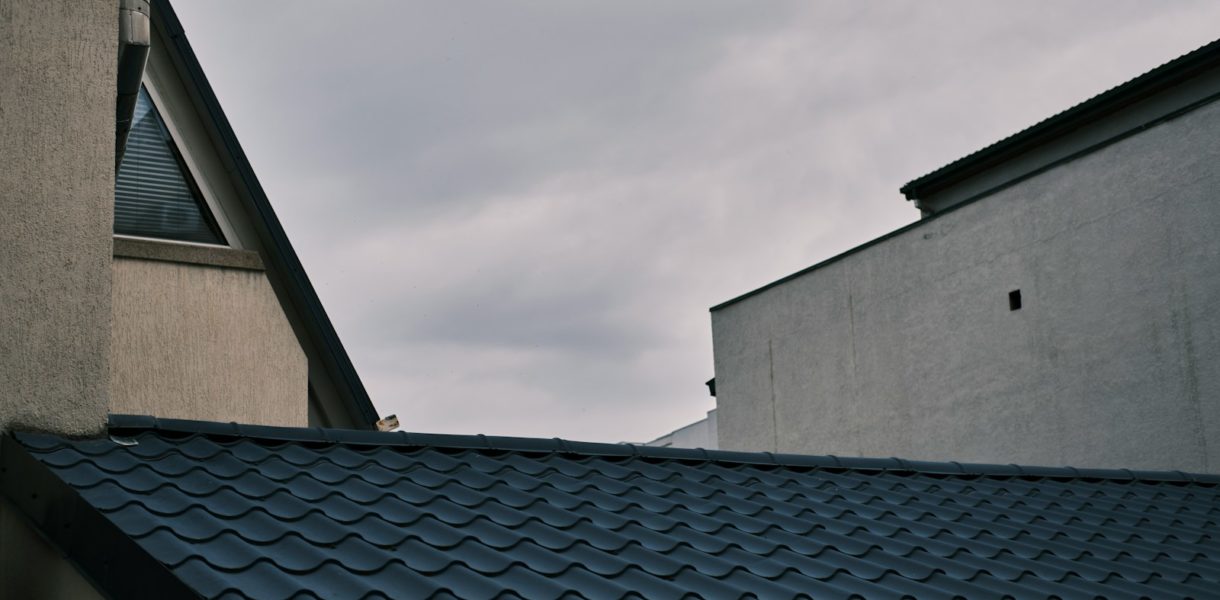 a bird is perched on the roof of a building
