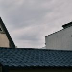 a bird is perched on the roof of a building