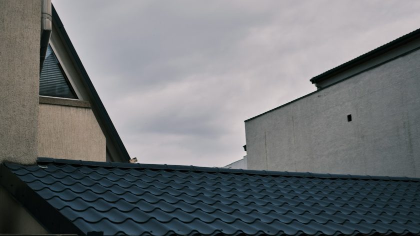 a bird is perched on the roof of a building