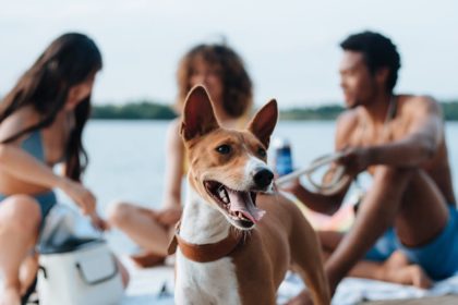 découvrez notre large sélection de serviettes de plage colorées et confortables, idéales pour vos journées ensoleillées. offrant un séchage rapide et un style unique, nos serviettes sont parfaites pour la piscine, la plage ou tout simplement pour se détendre. profitez du soleil avec nos serviettes de qualité!