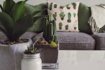 découvrez un espace inspirant et chaleureux où le confort rencontre l'élégance. faites de chaque instant chez vous un moment de sérénité et de bonheur.