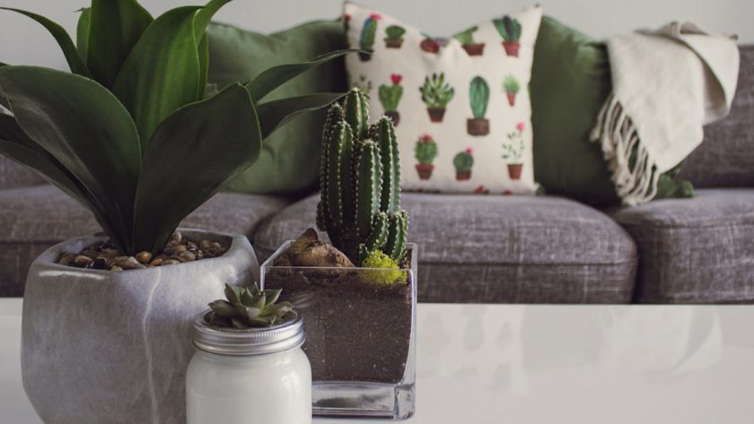 découvrez un espace inspirant et chaleureux où le confort rencontre l'élégance. faites de chaque instant chez vous un moment de sérénité et de bonheur.