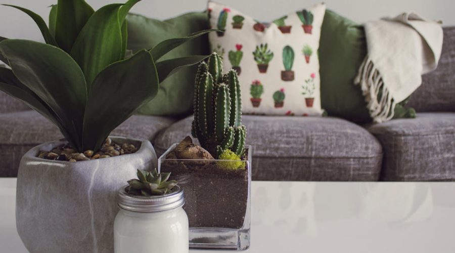 découvrez un espace inspirant et chaleureux où le confort rencontre l'élégance. faites de chaque instant chez vous un moment de sérénité et de bonheur.