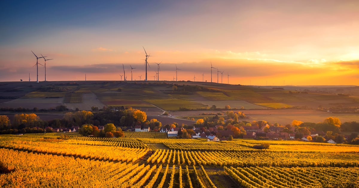découvrez comment adopter des pratiques durables pour protéger l’environnement, réduire votre impact écologique et contribuer à un avenir plus responsable grâce à des conseils sur la sustainability.