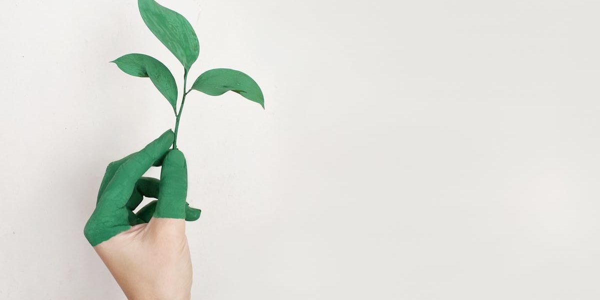 découvrez comment la durabilité transforme notre mode de vie, nos entreprises et notre environnement avec des conseils, actualités et solutions pour bâtir un avenir respectueux de la planète.