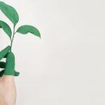 découvrez comment la durabilité transforme notre mode de vie, nos entreprises et notre environnement avec des conseils, actualités et solutions pour bâtir un avenir respectueux de la planète.