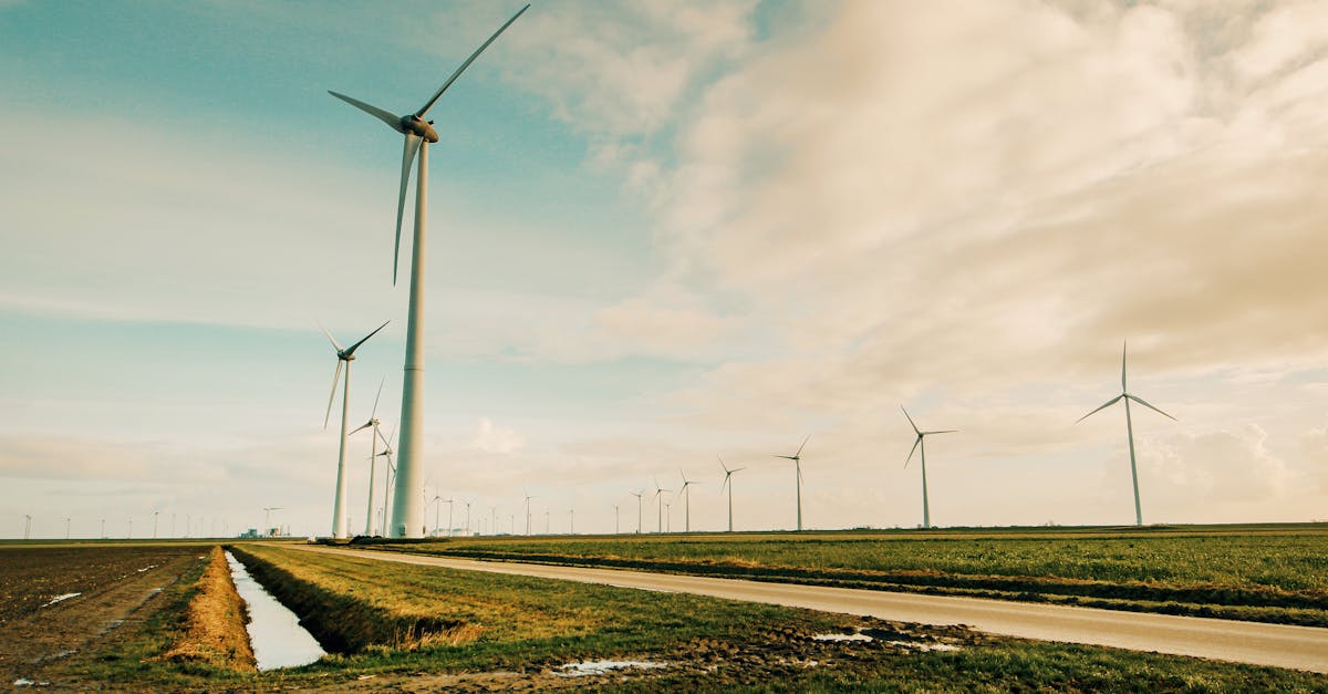 découvrez comment intégrer la sustainability dans votre quotidien et vos projets. conseils, actualités et bonnes pratiques pour adopter un mode de vie et de travail respectueux de l'environnement.