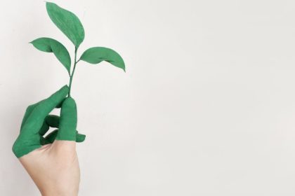 découvrez comment la durabilité transforme notre mode de vie, nos entreprises et notre environnement avec des conseils, actualités et solutions pour bâtir un avenir respectueux de la planète.