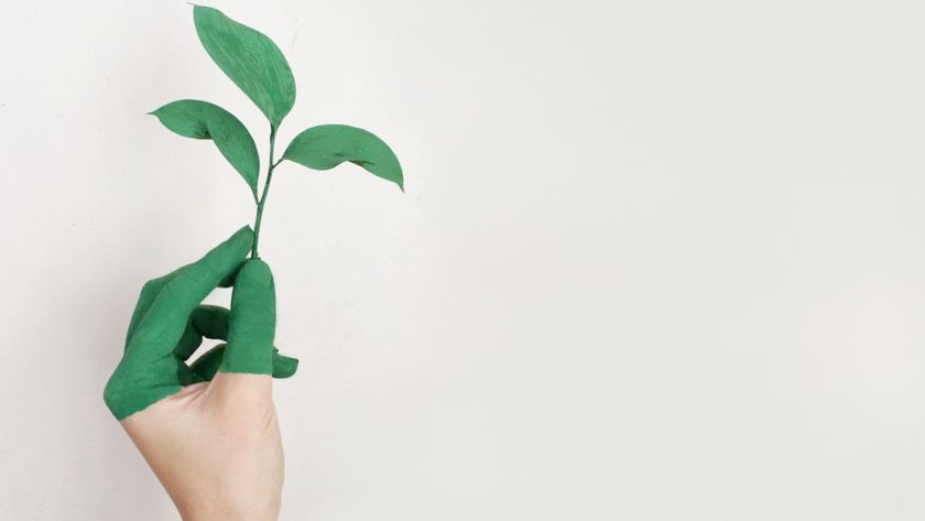 découvrez comment la durabilité transforme notre mode de vie, nos entreprises et notre environnement avec des conseils, actualités et solutions pour bâtir un avenir respectueux de la planète.