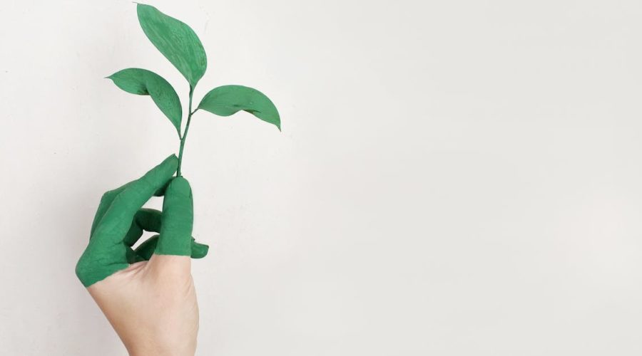 découvrez comment la durabilité transforme notre mode de vie, nos entreprises et notre environnement avec des conseils, actualités et solutions pour bâtir un avenir respectueux de la planète.