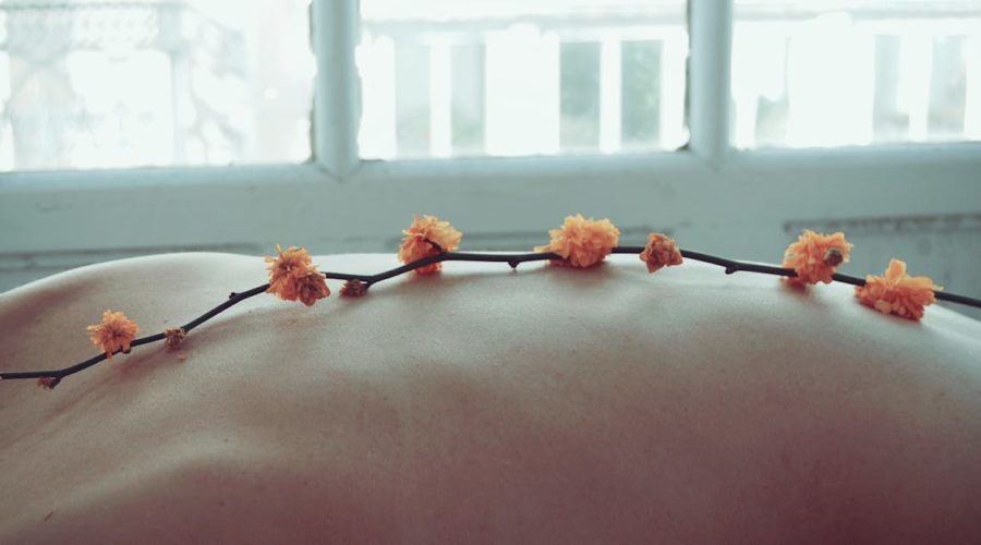 découvrez le wellness : conseils, astuces et ressources pour améliorer votre bien-être physique, mental et émotionnel. adoptez un mode de vie sain et épanoui au quotidien !