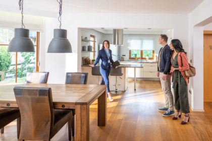 vente maison à Serpaize